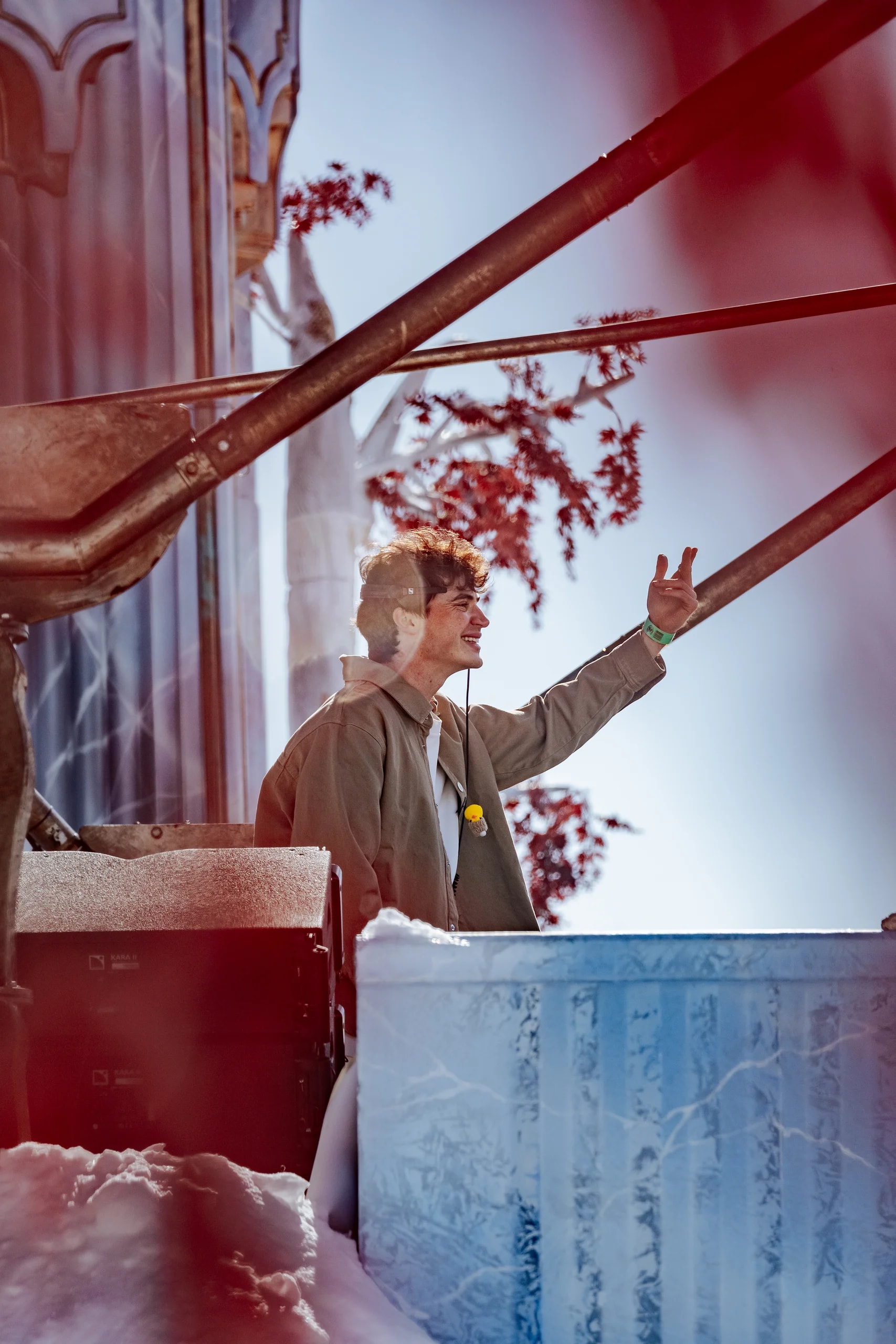 Tomorrowland Winter, Les artistes