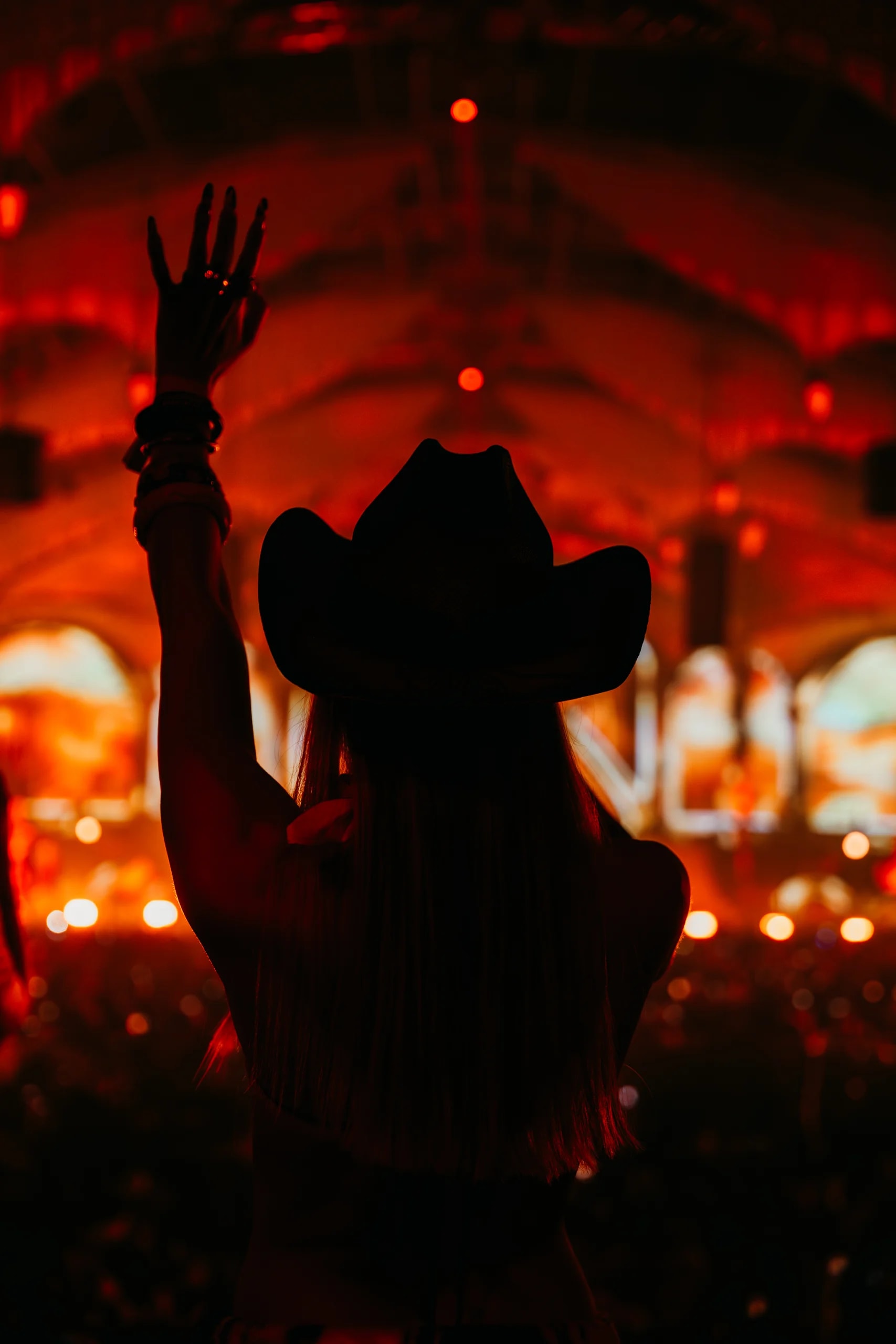 Tomorrowland Winter, Les festivaliers
