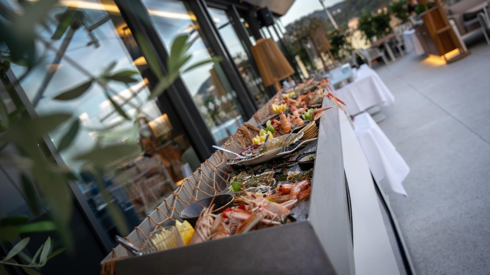 Experience Abu Dhabi